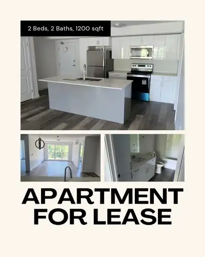 Spacious 2 bed/2 bath apartment for lease transfer from July 1st