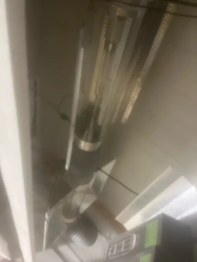 grow lights/bulbs in Other in Portage la Prairie - Image 2