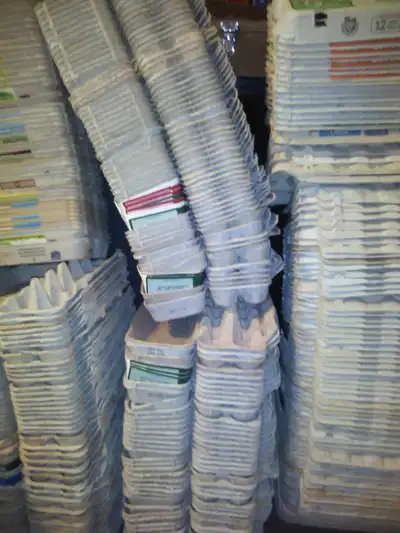 Egg Cartons (used), View more