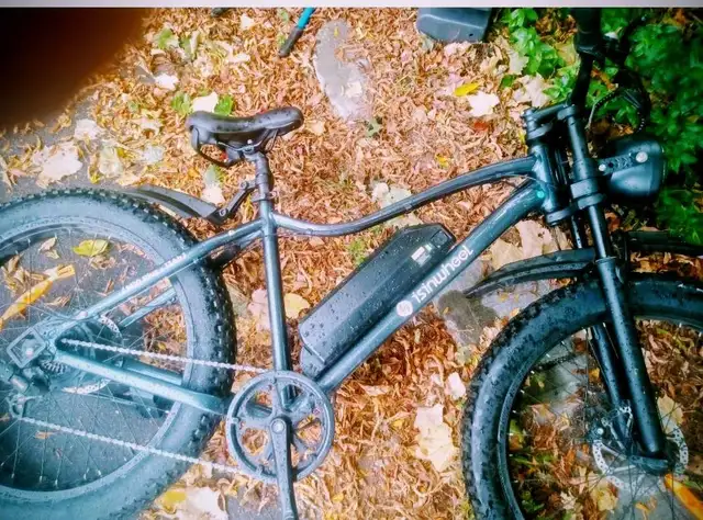 petal assistant  in ment condition  in eBike in Oshawa / Durham Region - Image 2