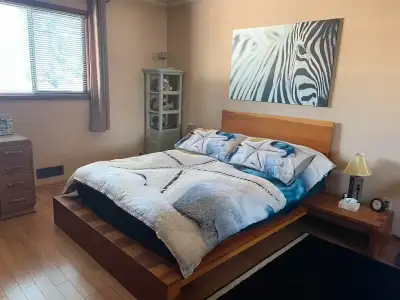 We have 2 spacious rooms available perfect for working professionals or couples. 1-2 people can be i...