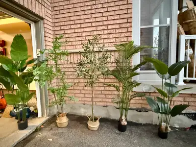6ft Artificial House Plant with various styles, View more