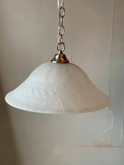 Pendant Light with adjustable 4ft Chain, View more