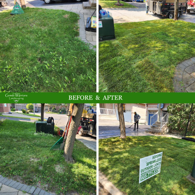 Sod installation. Sodding. 905 771 5336