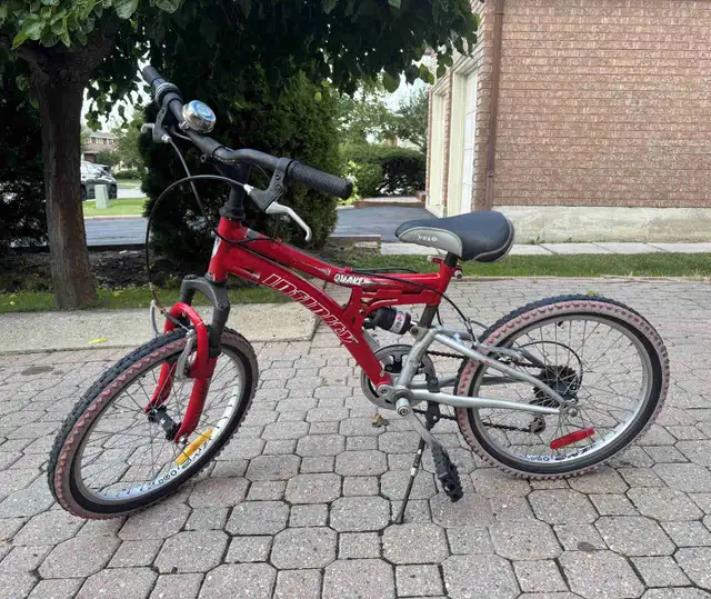 Infinity Quake Mountain Bike