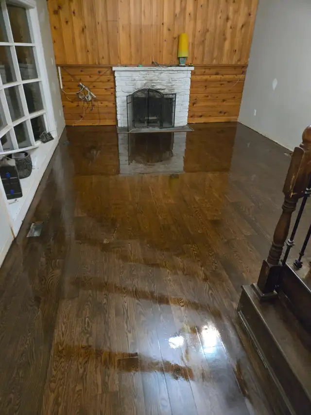 Floor refinishing551126016386682881