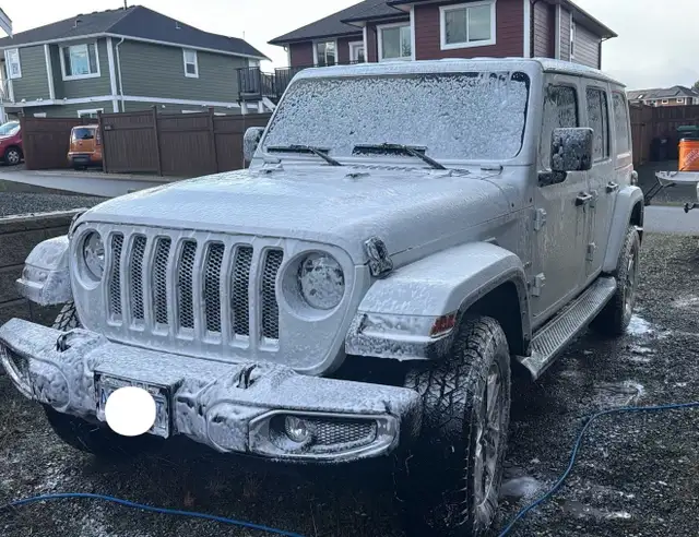 Car detailing for sale in Cars & Trucks in Comox / Courtenay / Cumberland - Image 2