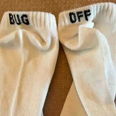 Women’s New Socks, View more