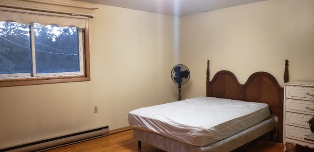 $680 non-sharing basement room near Loyalist College available in Room Rentals & Roommates in Belleville - Image 4