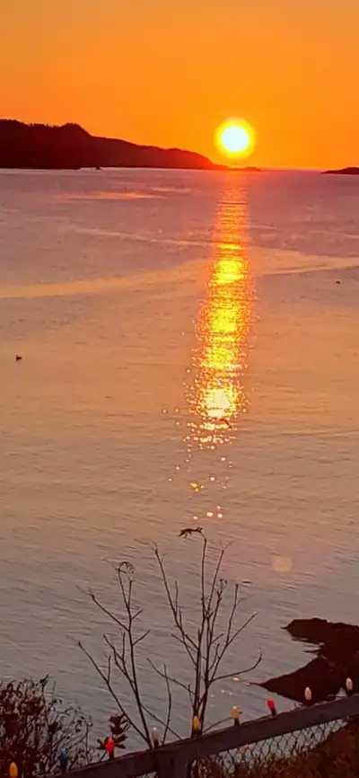 Deliveries , Moving , Clean Up, View more