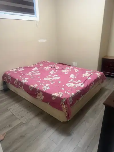 room for rent