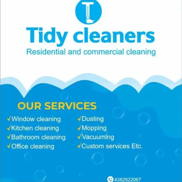 cleaning service 64840289450754120