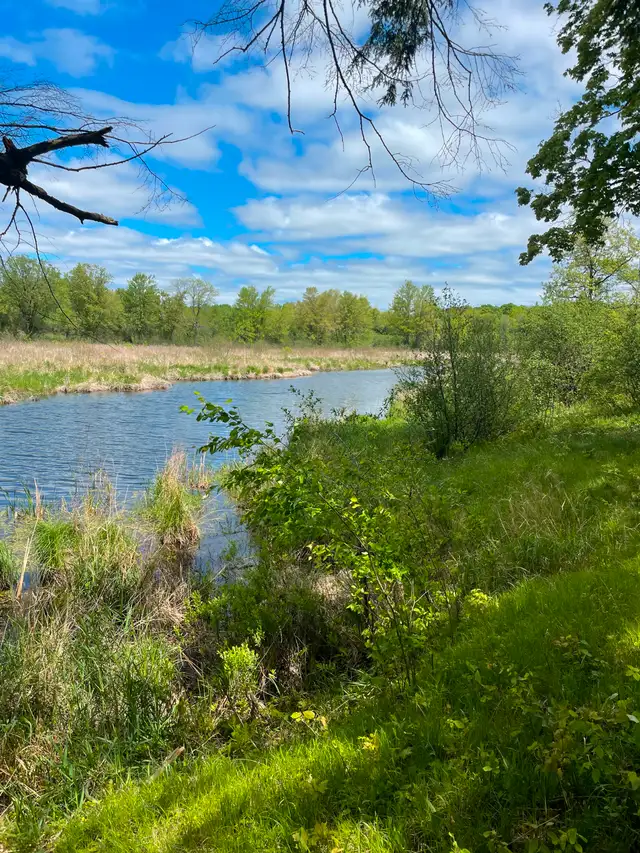 Camping Perth Ontario - Private spot in Ontario in Canada - Image 3