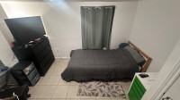 4 month sublet (May 1st - Sept 1st)