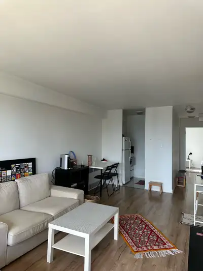 1bed 1bath sublease downtown Montréal