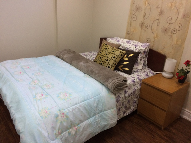 A private room for females from 1st June in BSMNT Apartment
