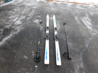 Fischer Technic Vacuum Ski and Ski Poles