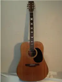 Wanted: Opus V Acoustic Guitar