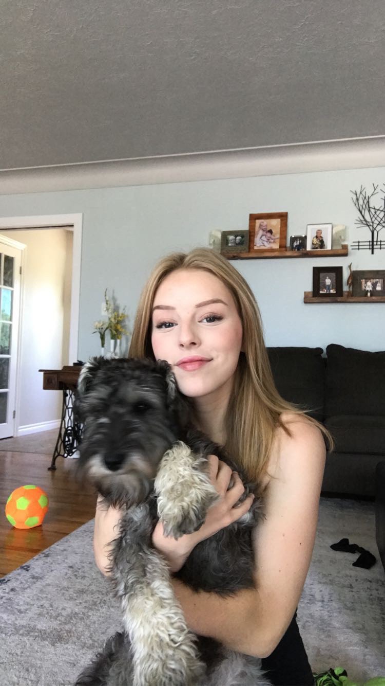 House Cleaner Available Cleaners & Cleaning ChathamKent Kijiji