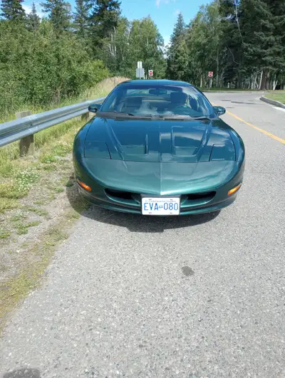 1995 Pontiac Firebird Formula 5.7L 350 V8, one Female owner, garage kept, never winter driven, no ac...