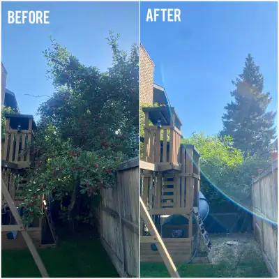 Tree Service *ISA certified arborist*, View more