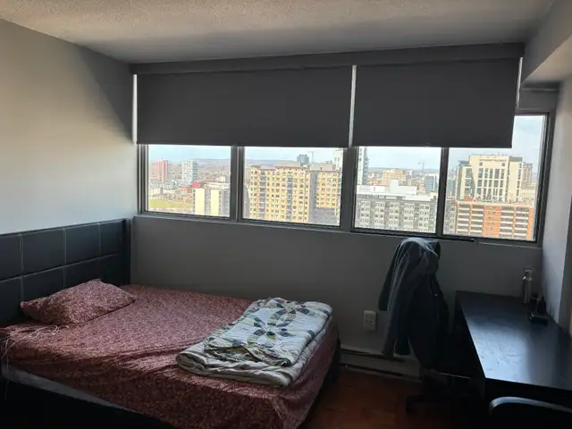 Private Room For Rent (Fall) in Room Rentals & Roommates in Ottawa - Image 4