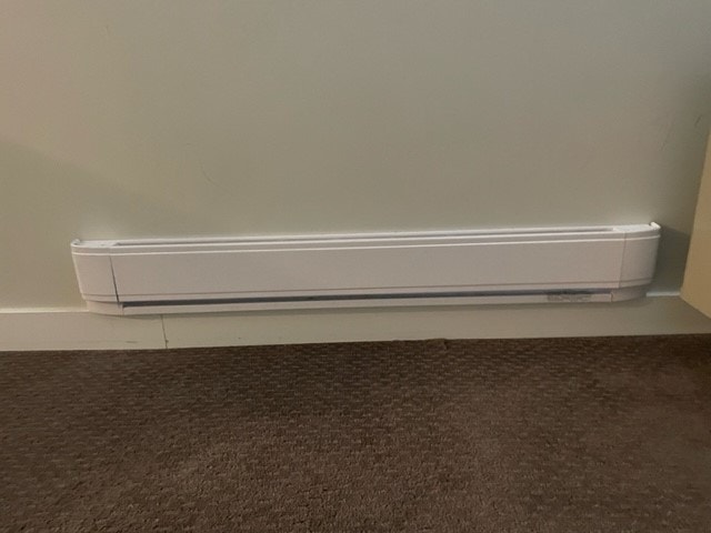2 Bedroom Basement from November 1 (Waterford Green) 4