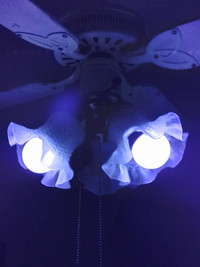 Ampoule Black Light LED