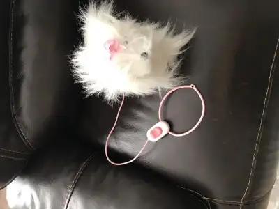 Works great like new condition. Looks like real Asking $20 obo