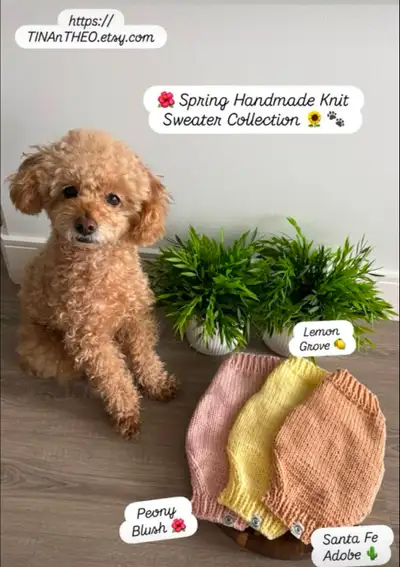Handmade Knit Dog Sweaters, View more