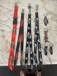 Assorted key chains and lanyards 