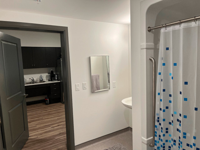 Brand new apartment for rent 22645 Adelaide Road Mount Brydges in Long Term Rentals in London - Image 4