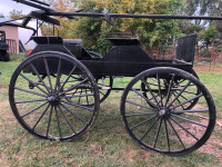 Horse drawn buggy with harness