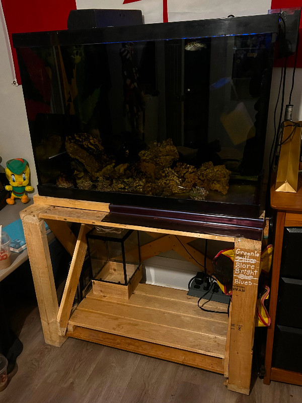 65 gallon aquarium with stand in Accessories in North Bay