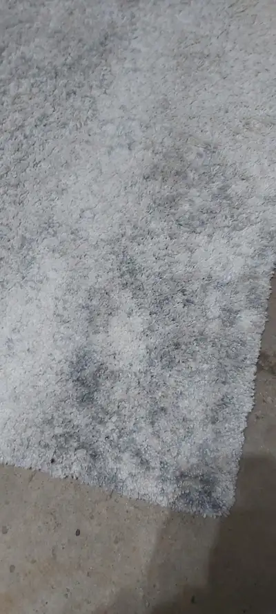 Excellent used condition (barley used at all) Plush soft rug from ruggables.com Pebble gray Long hai...