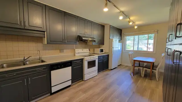 Rooms- 5 minutes walk to UW in Room Rentals & Roommates in Kitchener / Waterloo - Image 9