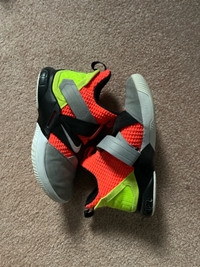 Lebron Basketball Shoes 10.5
