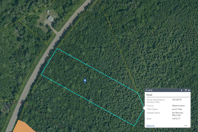 Land for sale - woodlot Memramcook - 26-02