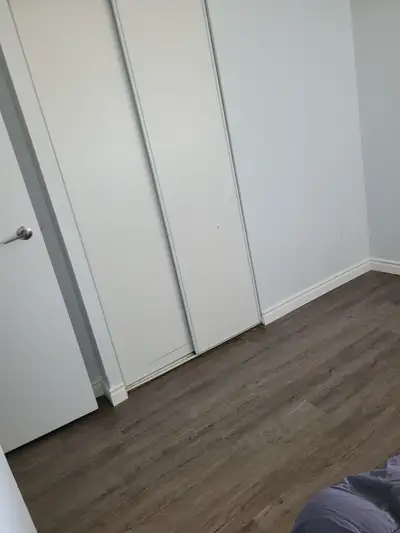 Room available for rent