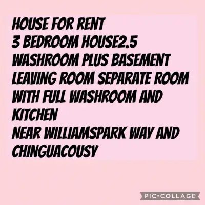 house for rent