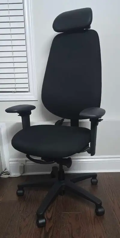ErgoCentric Office Chair in Mint Condition , View more