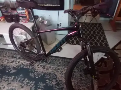 VÉLO GIANT 2024, View more