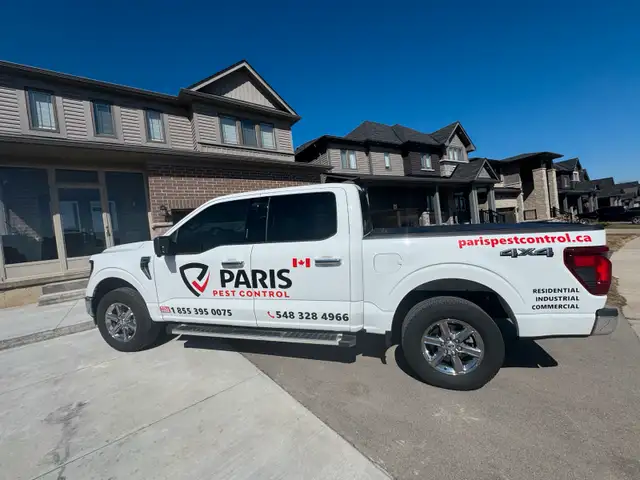 Pest Control Service63654773829379122