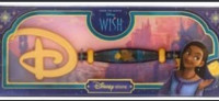 Disney wish key