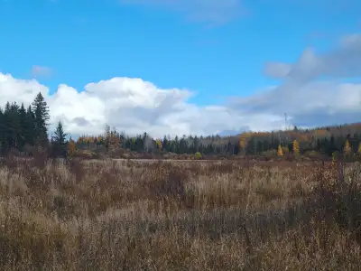 I am just putting some feelers out right now but I am looking to maybe rent out a room or let someon...