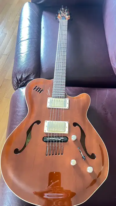Guitare électrique Godin-Série Signature À vendre, View more