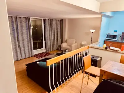 Condo owner, looking for a roommate. Great place near subway, amazing views, near York University. O...