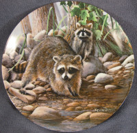 The Raccoon Collector Plate Kevin Daniel Friends Of The Forest