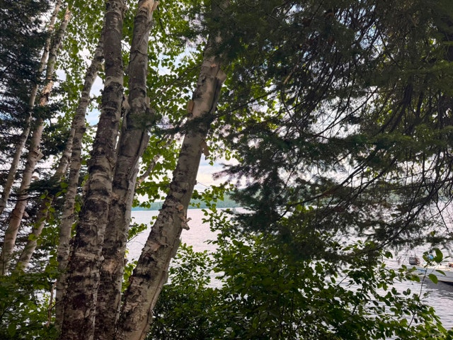 Rareté au Lac Taureau — 166 Pi de Rive — photo 2