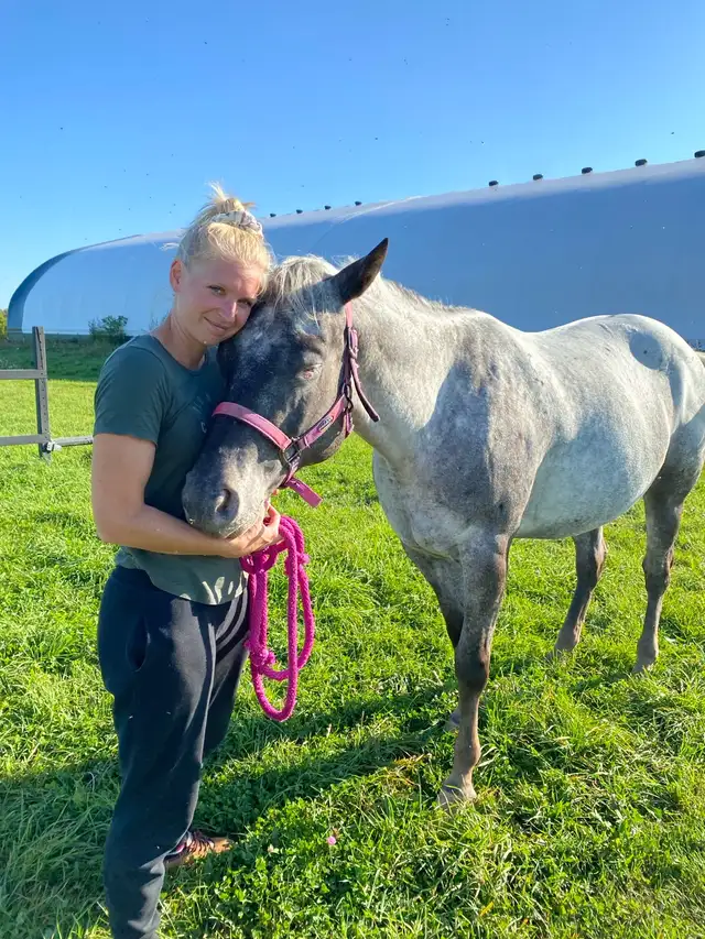 Horse Training/Re-Starts in Animal & Pet Services in Ottawa - Image 5